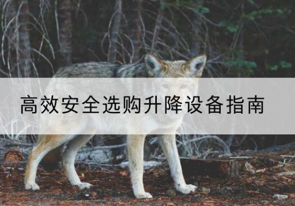 中江升降货梯厂家推荐-*安全选购升降设备指南