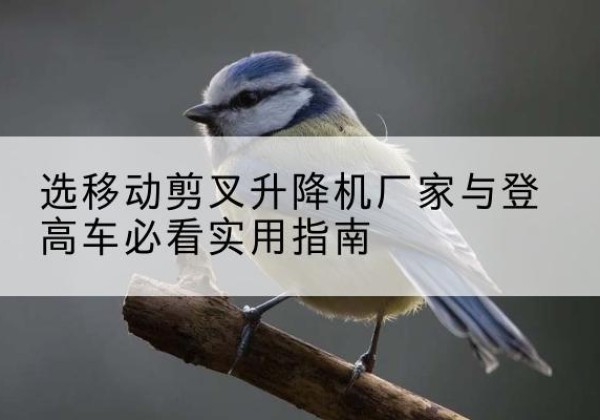 中江电动升降机厂家-选移动剪叉升降机厂家与登高车必看实用指南